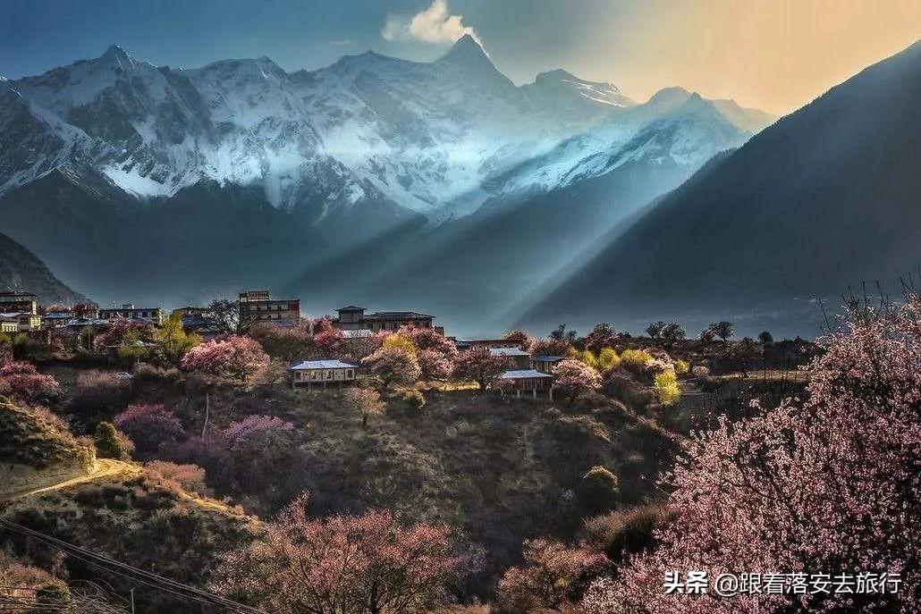 油画基本技法视频教学，解锁艺术之门的钥匙