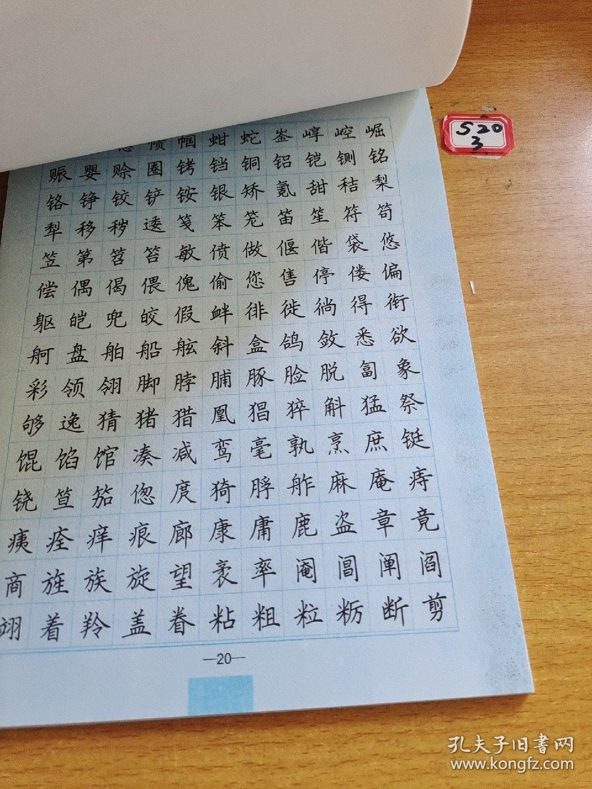 5000常用字钢笔楷书字帖，一笔一划，书写人生智慧