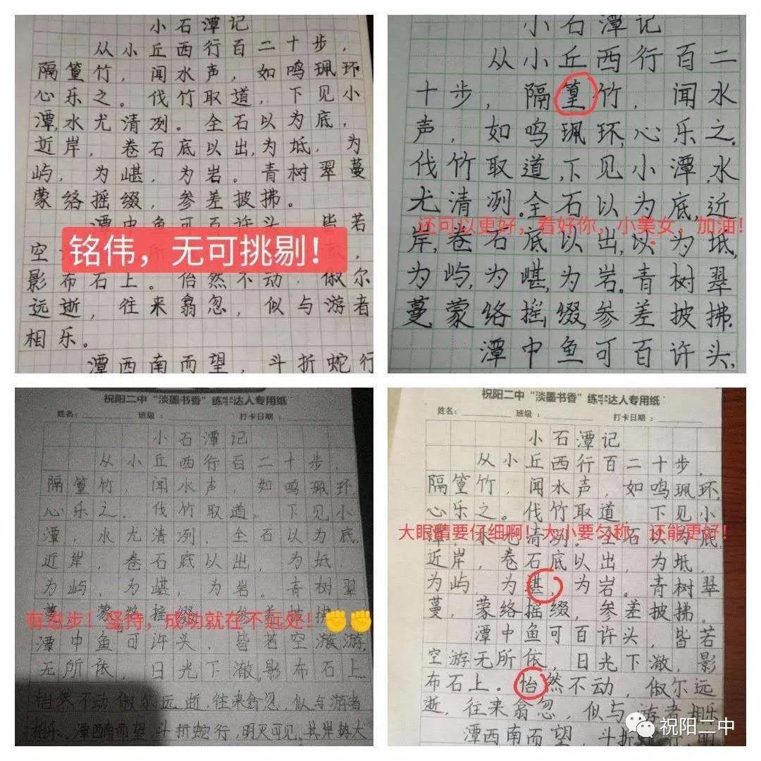 当代十大硬笔书法家，笔墨间的艺术传承与创新