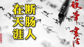 硬笔书法之美，学生作品赏析与感悟