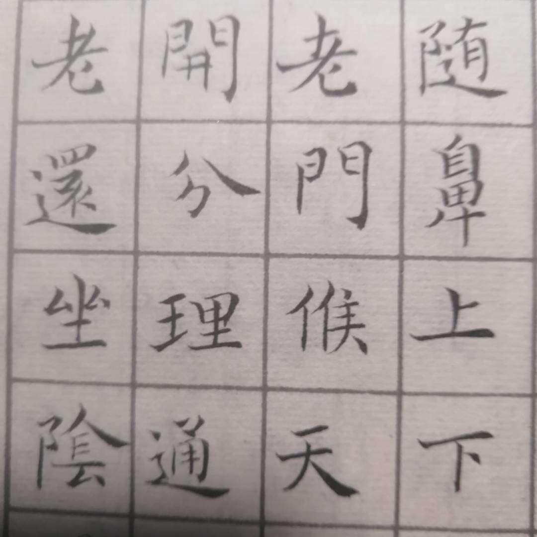 硬笔行书书法作品的艺术魅力与欣赏指南