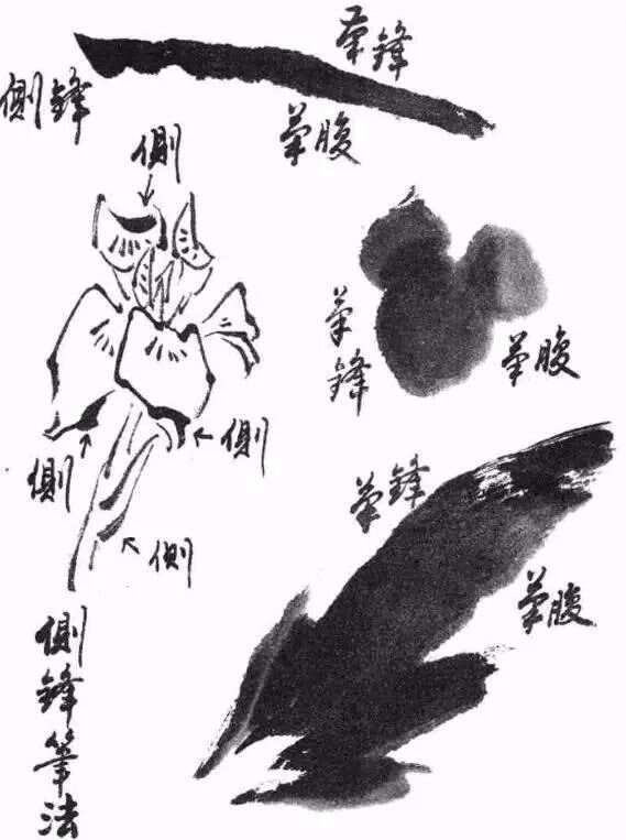 国画入门基础，从零开始，掌握国画艺术