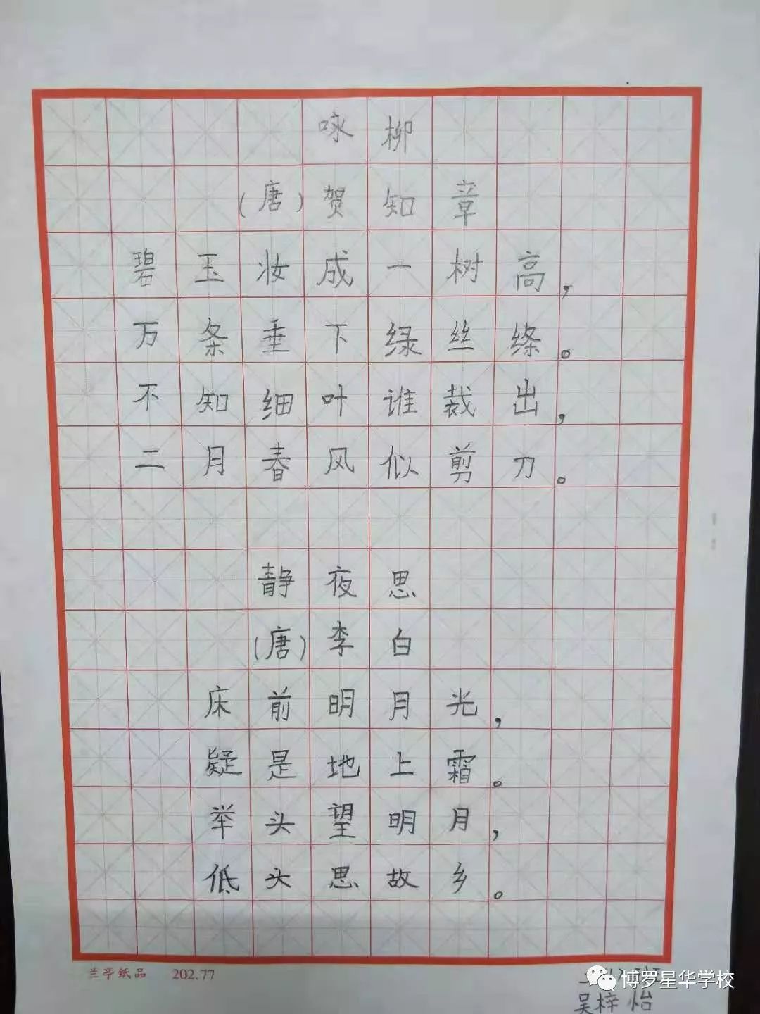 硬笔书法之美，小学生作品中的童真与笔墨韵味