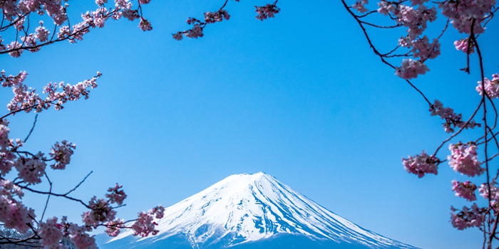 探索日本艺术之美，一场视觉与心灵的盛宴——日本艺术欣赏PPT指南