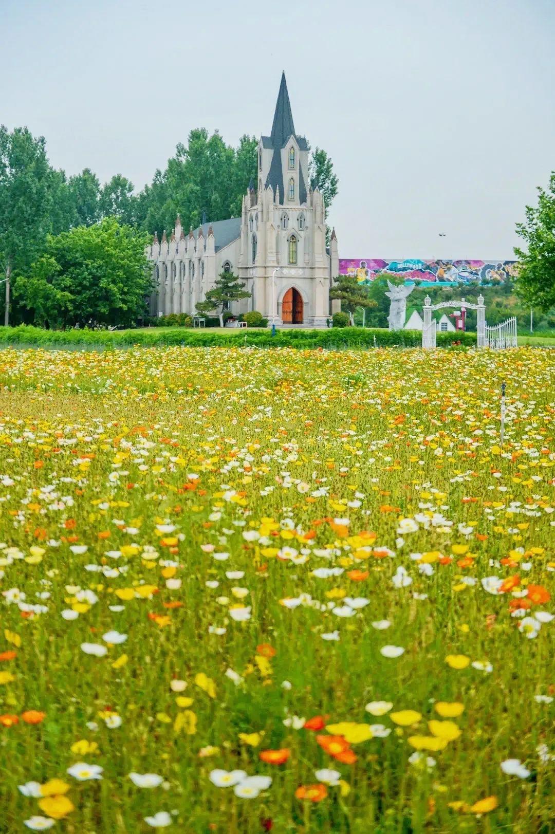 探索艺术殿堂，揭秘油画高清素材网址的宝藏之旅