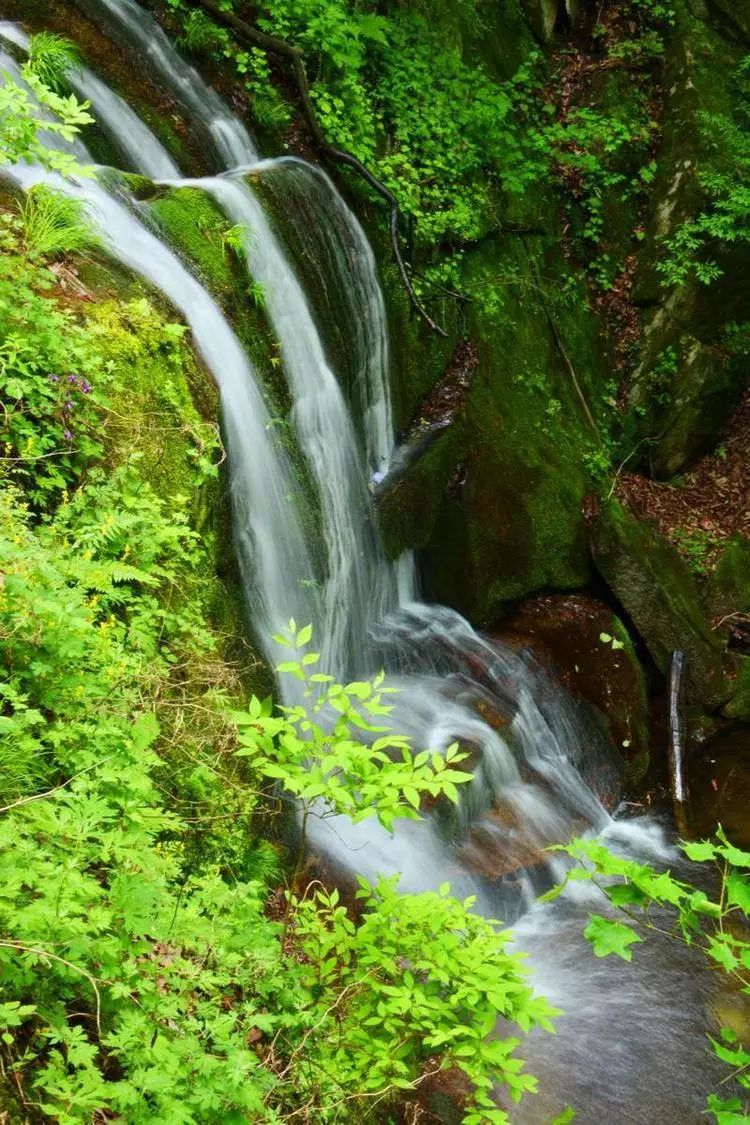 探索自然之美，真实山水间的自然风景