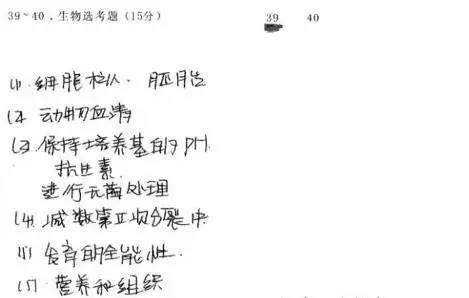 40个必学连笔字，书写艺术与效率的完美结合