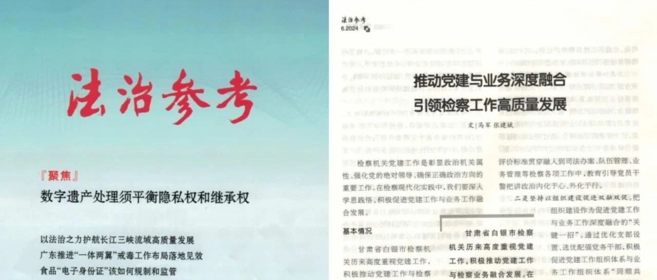 述法报告，探索法治实践的深度与广度