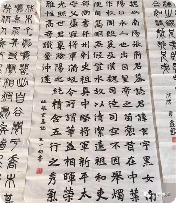 毛笔字，传承千年的艺术瑰宝——优秀作品赏析