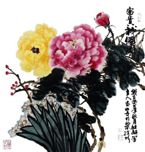 珍稀雅赏，张秋献牡丹的独特魅力与价格探析