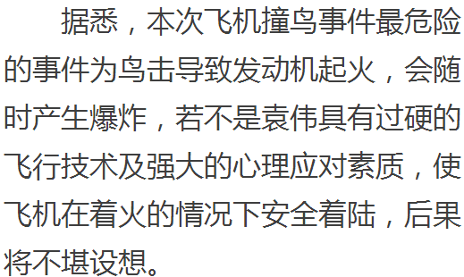 扫一扫，古董估价新风尚，科技与文化的完美邂逅