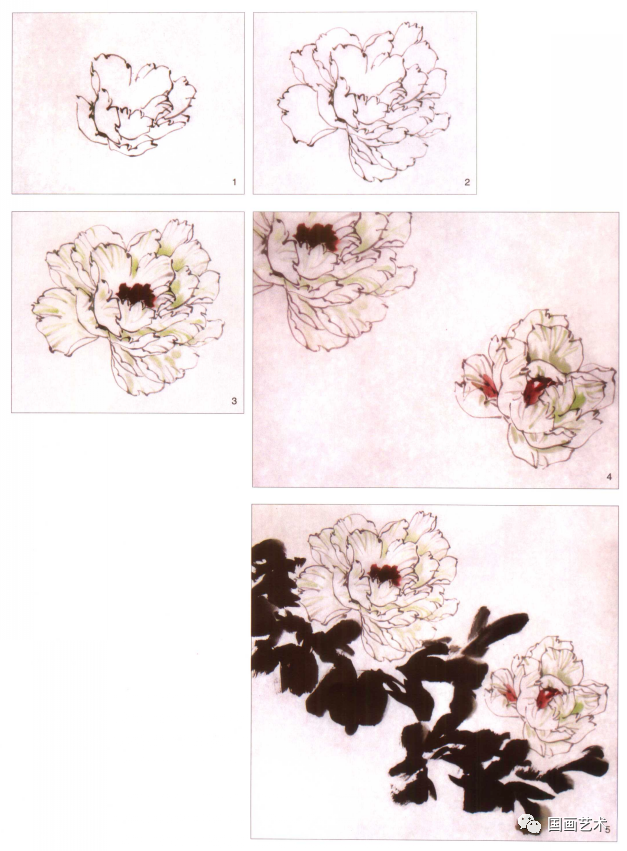 探索国画牡丹的韵味，一部详尽的画法教学视频指南