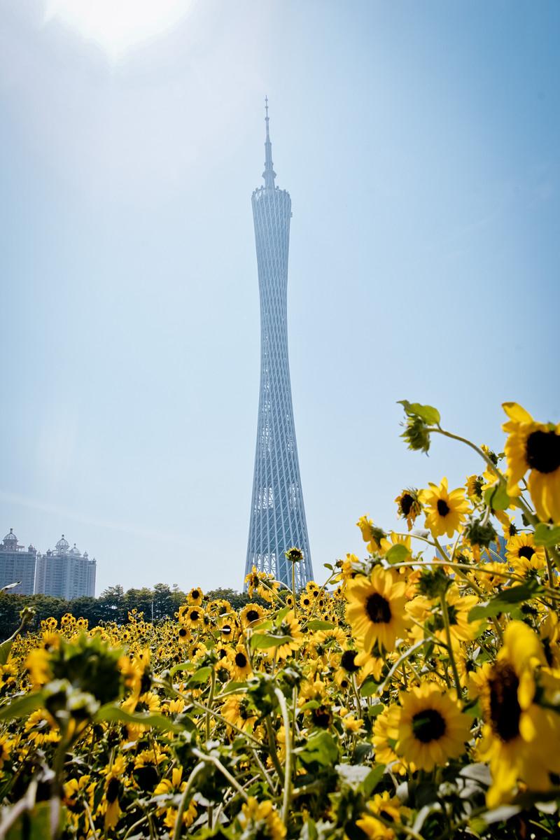 初学者油画棒风景画手绘教程，从零开始，绘制你的梦幻景致