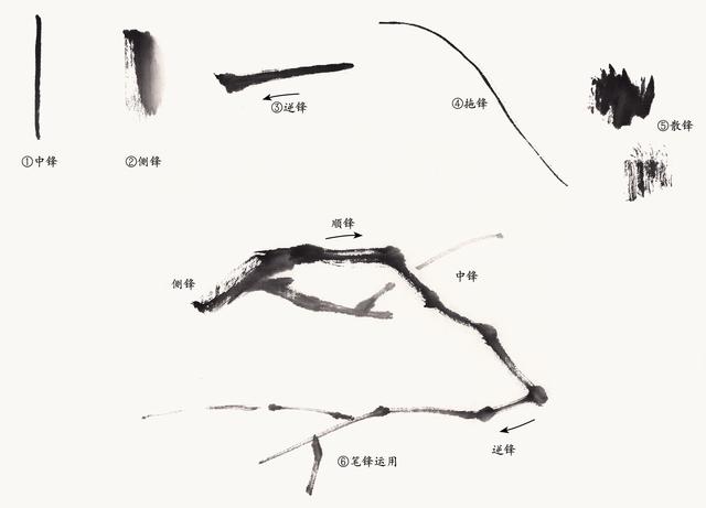 初学国画，从零开始的国画之旅——入门视频指南