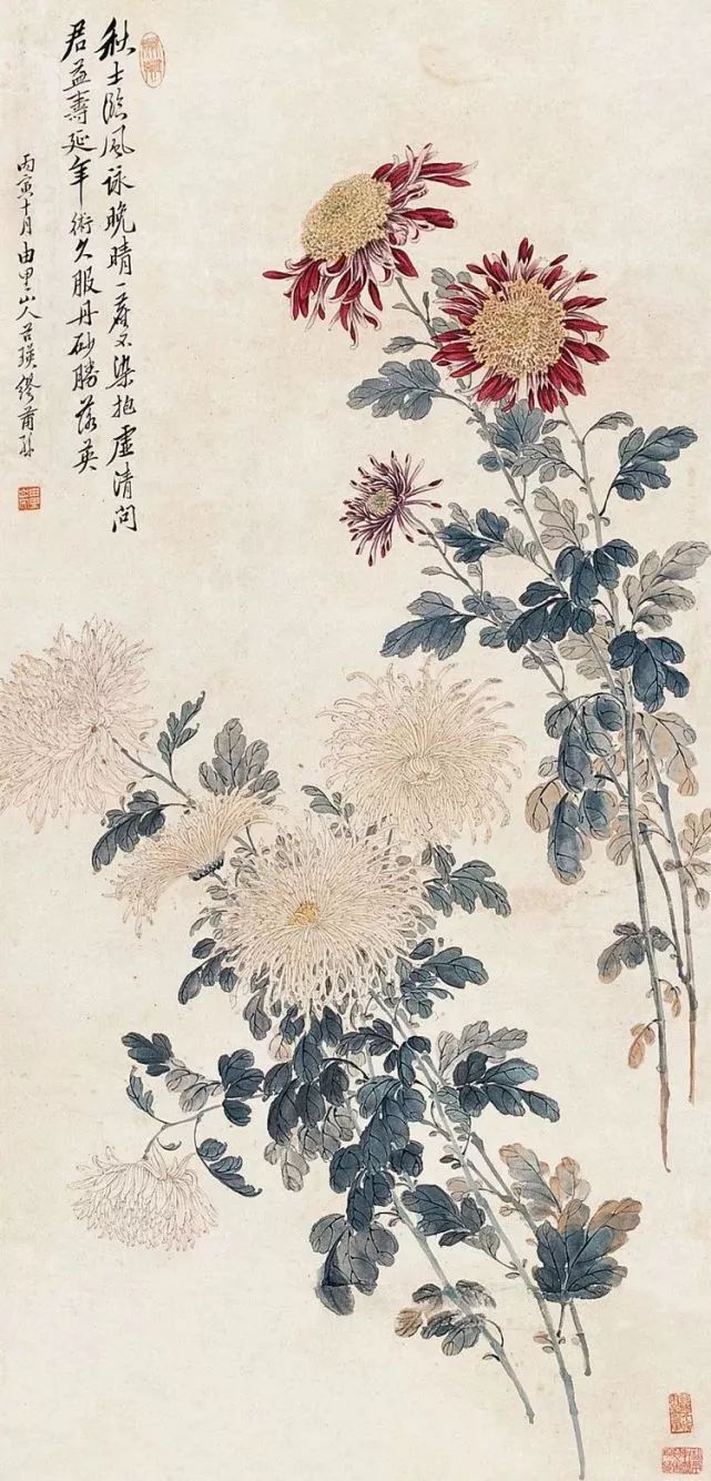 赏菊之韵，国画菊花图片大全鉴赏