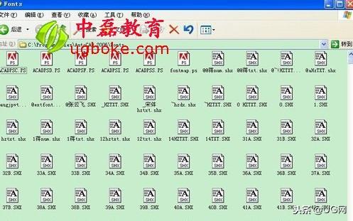 字体下载与字体库的探索，从基础到进阶的全面指南