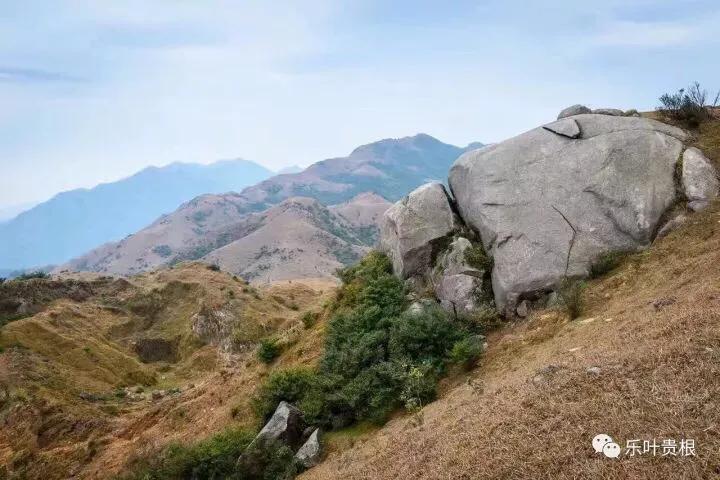 沉睡的维纳斯，布面油画中的梦幻与现实交织