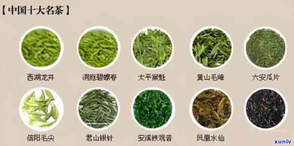 探索中国茶文化的瑰宝，中国十大名茶