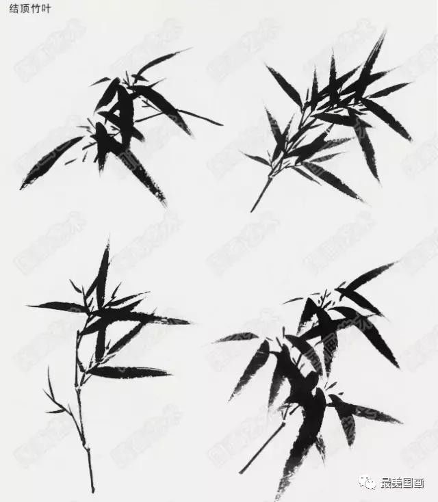 入门国画竹子，从零开始的画法步骤图解