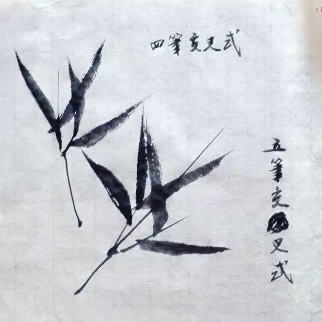 国画竹子叶子画法，笔墨间的自然韵律
