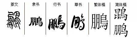 鹏字书法之美，探寻鹏字在多种书法字体中的艺术魅力