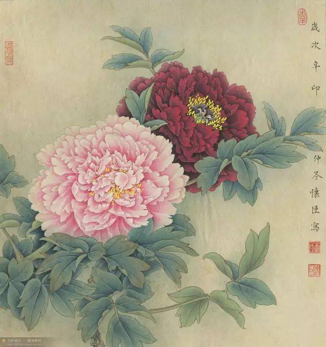 工笔画牡丹，从原图到底稿的精细之旅