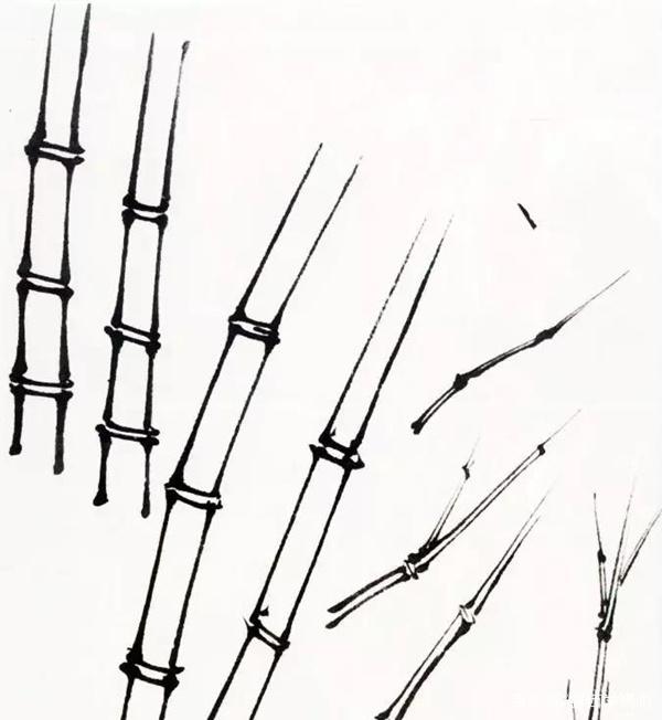 一步一步教画竹子视频，从零基础到高手的绘画之旅