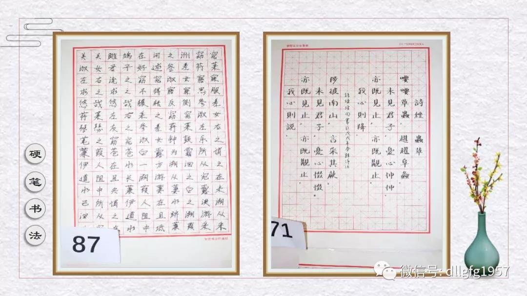 安徽硬笔书法网，传承与创新的书法艺术殿堂
