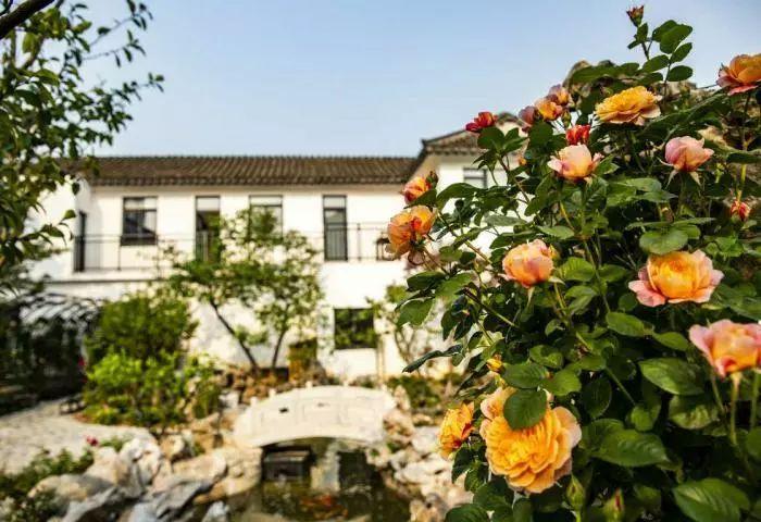 卖画网站大盘点，艺术与市场的完美邂逅