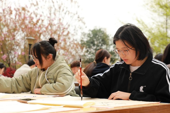 书法鉴赏，大学生文化素养与审美能力的提升之路