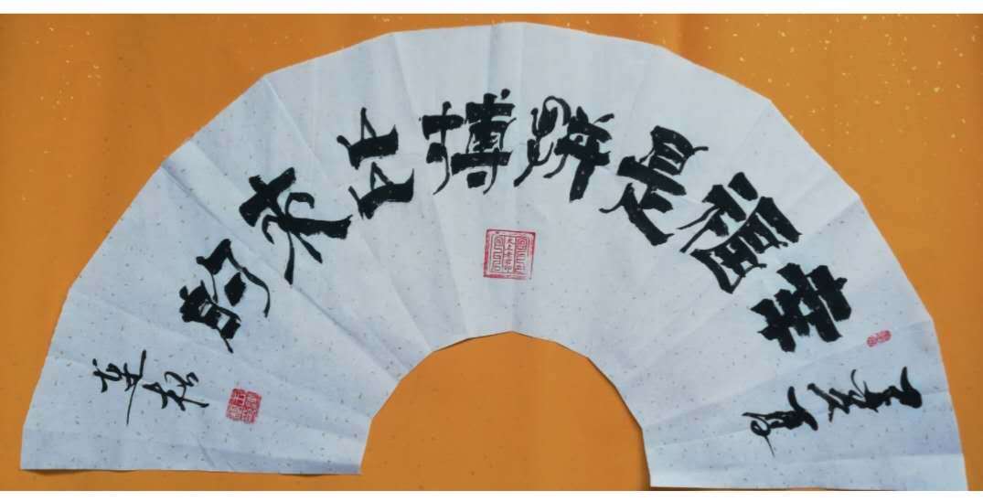 书法鉴赏，墨香中的艺术之旅