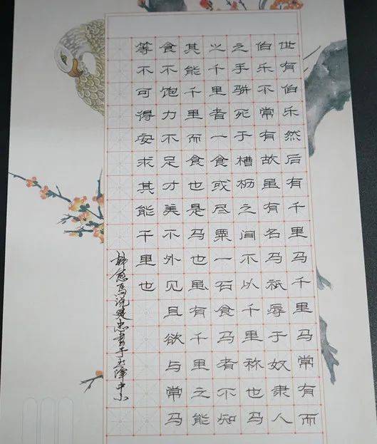 硬笔书法，小学生成长的墨香之旅