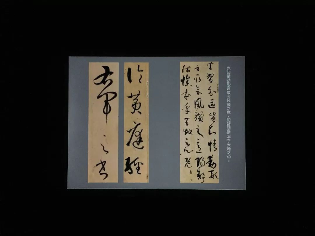 书法之美，学校中的书法作品欣赏图片