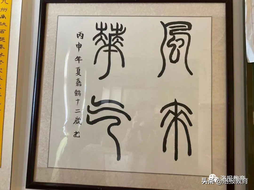 硬笔书法之美，名人名言的墨香之旅