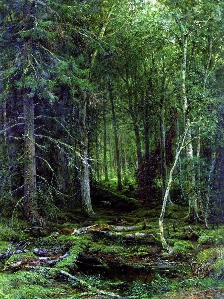 探索自然之美，油画风景图片精品的魅力与价值