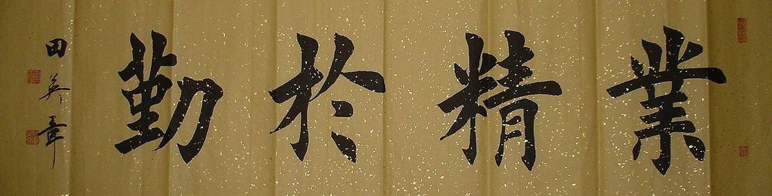 田英章最新硬笔书法作品，笔墨间的传统韵味与现代风尚