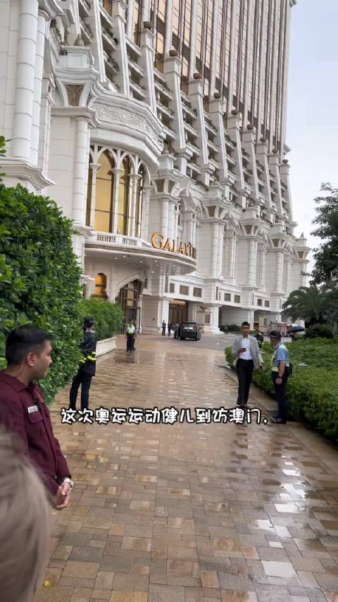 澳门六哥最新情况直播视频回放下载免费版，揭秘与风险警示