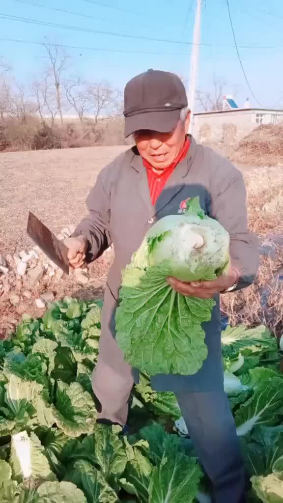 澳门六哥最新动态，今日直播实录与最新消息视频在线观看指南