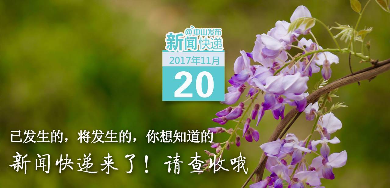 澳门六哥最新动态，今日直播揭秘与新闻速递