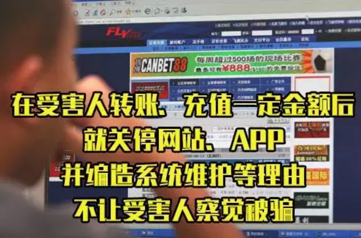 澳门六爷分析师视频播放在线看全集，揭秘澳门赌场风云与数据分析的奥秘