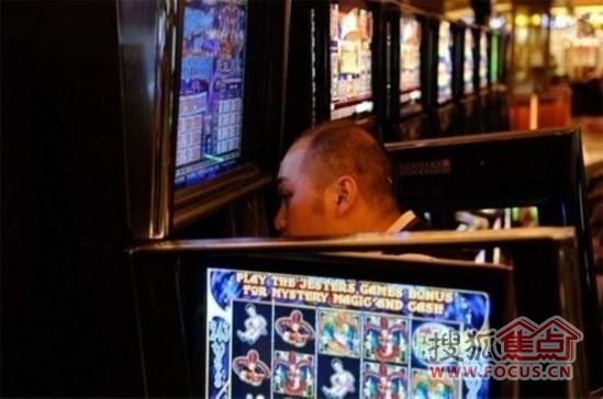 澳门六爷分析师视频大全，揭秘赌场风云的智慧与策略