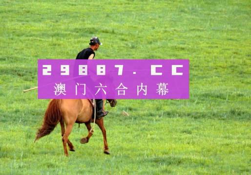澳门六哥最新直播视频大全，免费下载与在线观看的官方平台探索