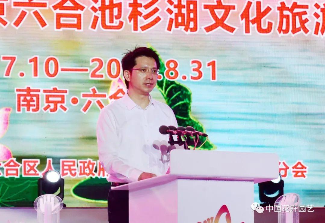 澳门6盒彩49个号码的投注与成本分析
