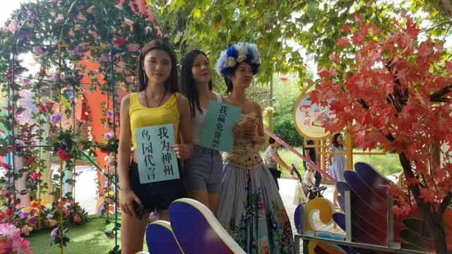 澳门6合开彩与花仙子的奇妙邂逅，一场跨越现实的梦幻之旅