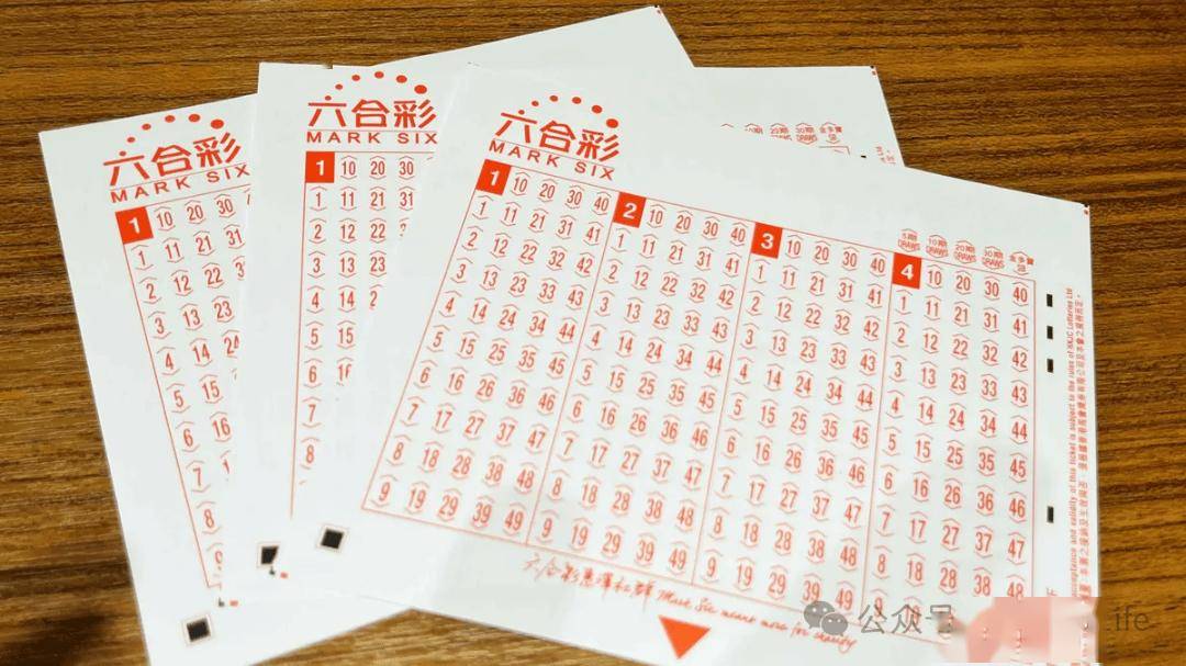 澳门六合彩，2023年开奖结果查询新体验