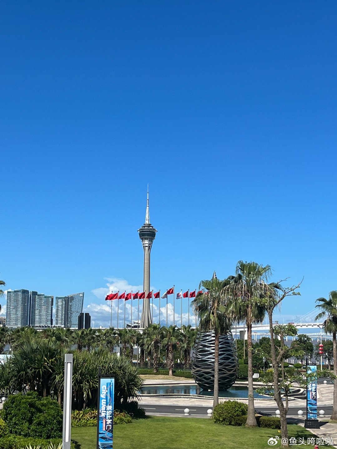 澳门六月天气概览，阳光、海风与微热的完美融合